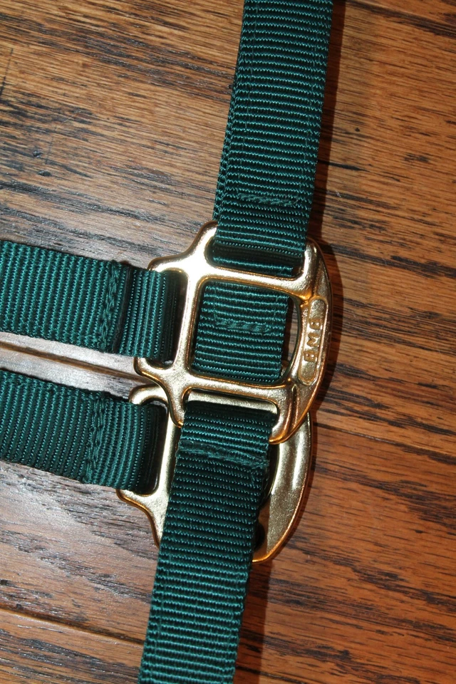 NUEVO Premium BMB Caballo Halter Herrajes Latón Sólido Mediano 800-1100lbs VERDE Foto 3 de 3