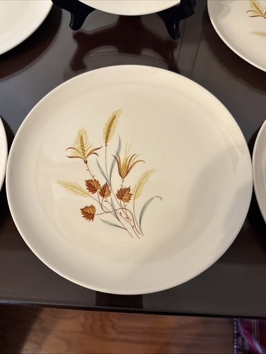 Juego de 6 platos de cena Mcm vintage Taylor Smith cosecha de otoño 10” años 60 usado en excelente estado - Imagen 7 de 17