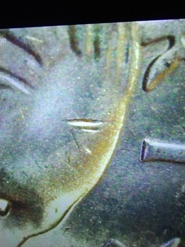2024D Reverend Dr. Paulie Murray Quarter with Dye Cut/Chip Errors Obv. & Rev. - Picture 7 of 9