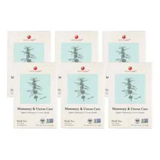 Mammary and Uterus Care Herb Tea by Health King (6 Boxes of 20 Teabags Each)