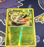 Pokémon Shelmet Basic Common XY Furious Fists 8/111 Reverse Holo 60 HP English