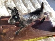 A Very Unusual Bronze Dog,very Heavy,odd Look.