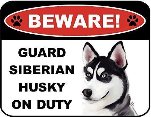 PCSCP Beware Guard Siberian Husky on Duty (v1) 9 Zoll x 11,5 Zoll laminierter Hund - Bild 1 von 2