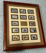 Framed Minnesota Migratory Waterfowl Stamps 1977-1990 MN DNR Duck Set Lot of 14
