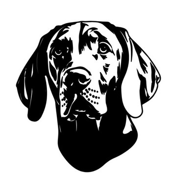 New Vizsla Dog Decal Sticker Black or White Permanent Vinyl Handmade Car 4 