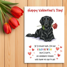 Black Flat Coated Retriever Valentine’s Day Card from the dog. Valentines Card