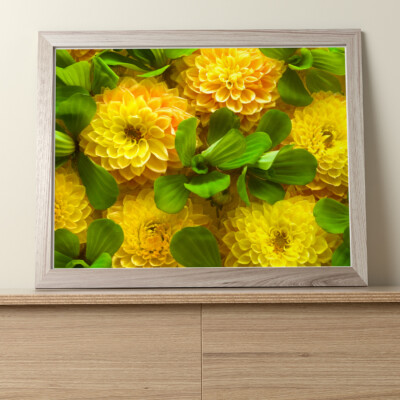 Flowers - Nice Pretty Ones ! : 10''x8'' Professional Photo