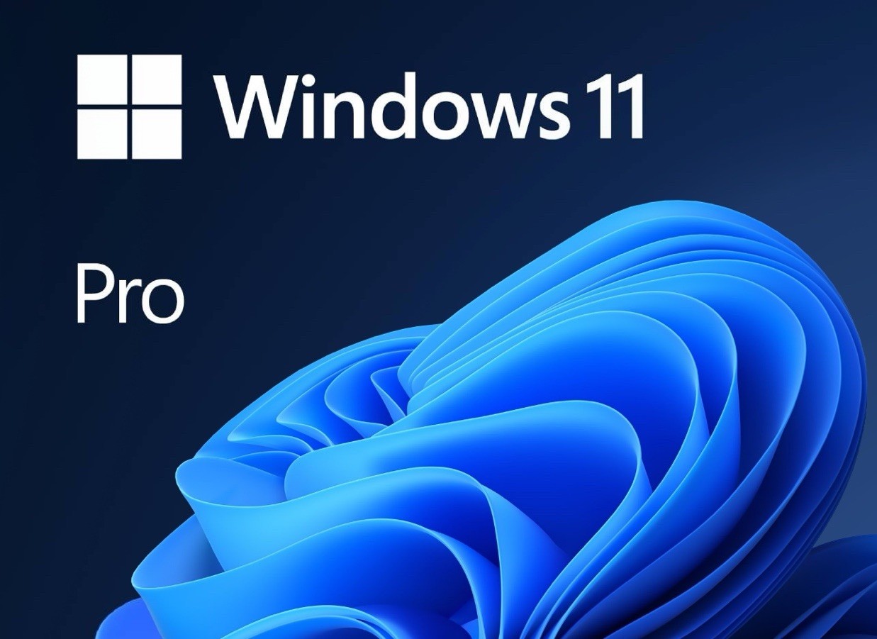 Microsoft Windows 11 Pro 64-Bit USB Flash Drive License Key READ DESCRIPTION