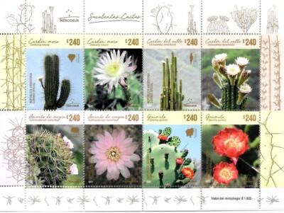 75240 ARGENTINA 2023 FLOWERS CACTUS MINISHEET MNH | eBay