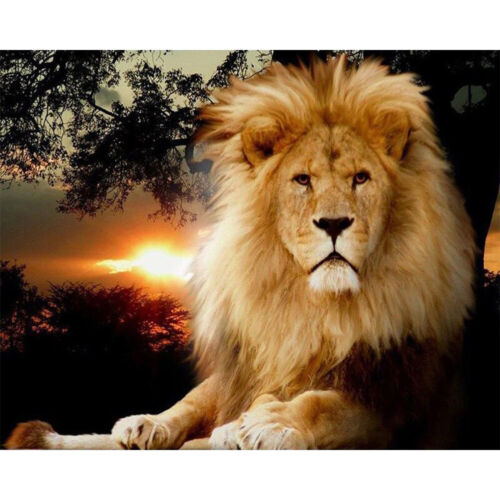 Lion Oil Paint By Numbers Canvas Drawing DIY Coloring Picture for Adults Child A - Picture 1 of 12