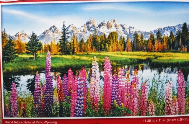 Bbc Earth Life 500 Piece Jigsaw Puzzle Dartmoor National Park For