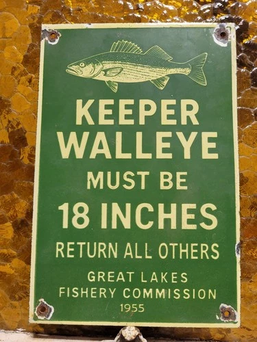VINTAGE GREAT LAKES PORCELAIN SIGN OLD 1955 FISHERY COMMISSION WALLEYE FISHING