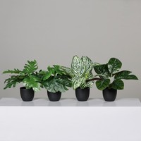 4Er Set KüNstliche GrüNpflanzen Im Topf H. 24-27Cm GrüN Dpi Zimmerpflanzen