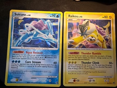 RAIKOU LV. 42 16/132 & SUICUNE LV. 44 19/132 SECRET WONDERS