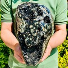 Bild 6 von 13