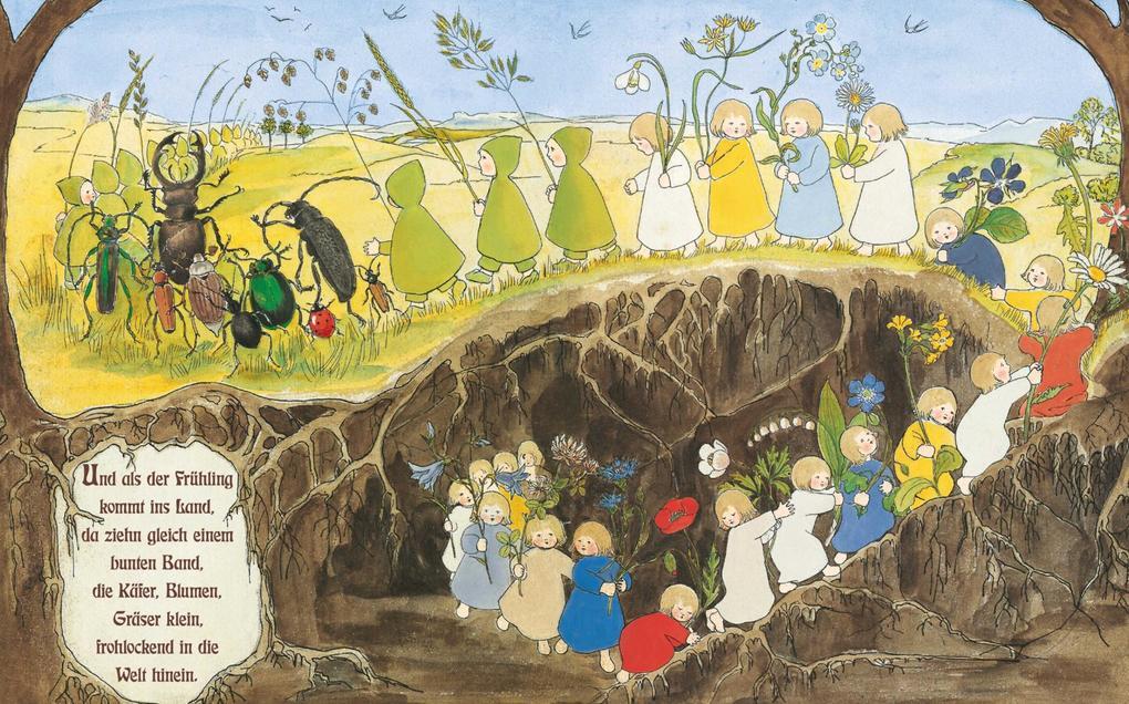 Thumbnail - Etwas Von Den Wurzelkindern: Pappbilderbuch | Sibylle Von Olfers |