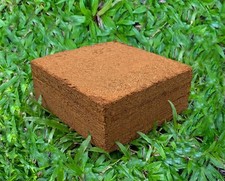 Kokoserde Anzuchterde ca. 5kg Block -ergibt ca 80 Liter - Kokoshumus Blumenerde