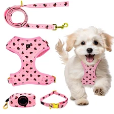 Small Dog Harness and Leash Set – No Pull Harness, Leash, Collar & Poop Bag H...