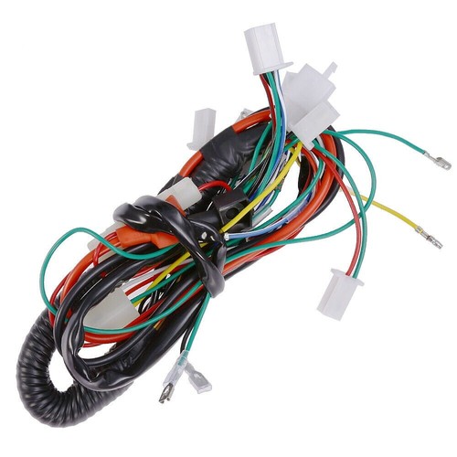 For Taotao 50CC 70/90/110CC/125CC ATV UTV Quad Electric Wiring Harness Go Kart - Foto 2 di 11