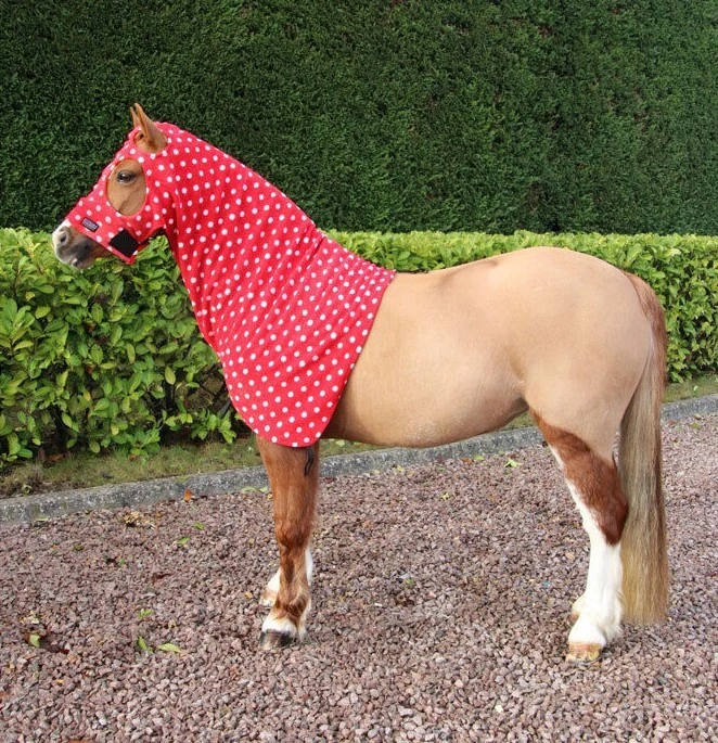 Supreme Products Dotty Cappuccio in Pile Morbido Copricollo e Viso Rosso Rosa Navy 12.2 17.2