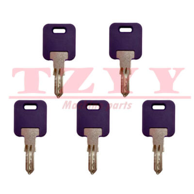 For Global Link RVs Motorhome Trailer 5x Purple Replacement Key Cut to Lock G313