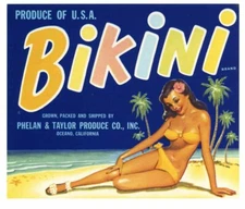 BIKINI Vintage Vegetable Crate Label, Pinup Girl, Beach ***AN ORIGINAL LABEL***