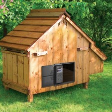 Automatic Chicken Coop Door Auto Chicken Door Opener Timer  LCD Screen US