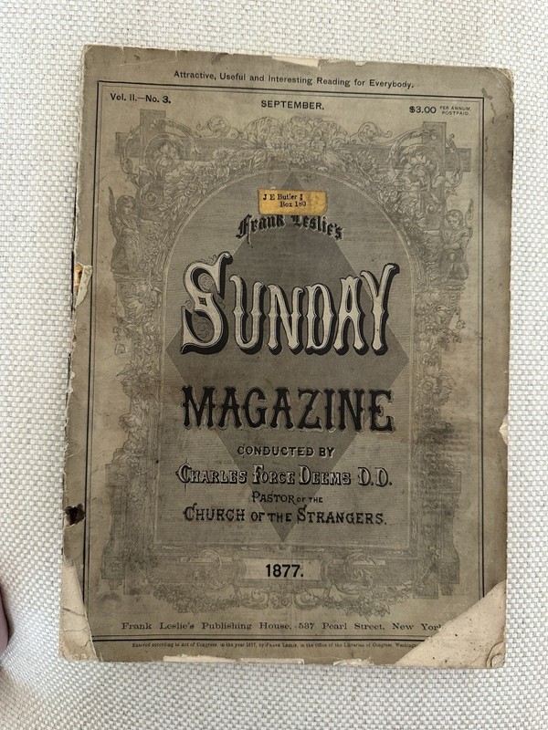 Sunday Magazine 1877