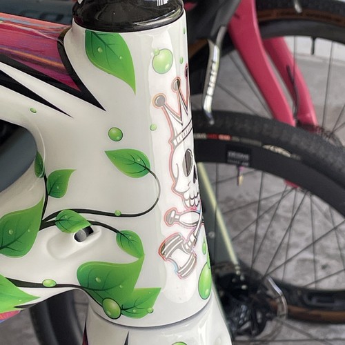 New 2018 Fuji 1.1 SL Disc Lightweight Full Carbon Frame / Fork, 54, Custom Paint - Picture 14 of 16