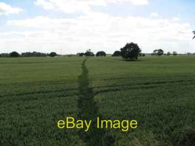Photo 6x4 Tiptoe through the Barley Lund/SE6532 Although overgrown with  c2006