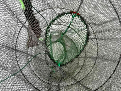 Foldable Fishing Trap Net Crab Prawn Shrimp Crayfish Lobster Live Bait Useful - Picture 7 of 8