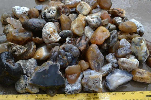 Montana Moss Agate Rough Stones Cabbing Slabbing Tumbling Carving | eBay