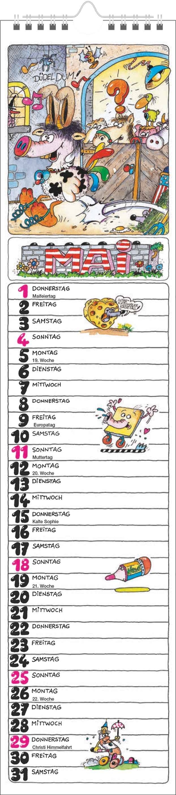 Bild 6 von 12
