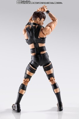 S.H.Figuarts T.M.Revolution 魂ウェブ商店限定｜その他