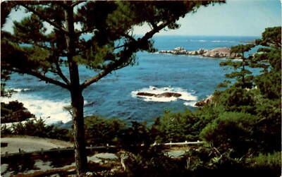 Vintage Postcard: Sunset Room, Point Lobos, Carmel