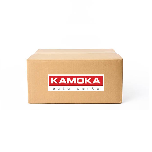 EGR AGR valve 19022 KAMOKA for OPEL SPEEDSTER ASTRA G Coupe VECTRA B Hatchback