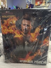 IN STOCK New Hot Toys MMS789 Deadpool & Wolverine Human Torch 1/6 Action Figure