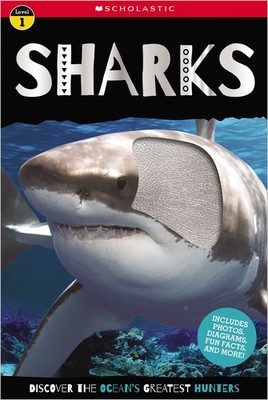 Sharks - paperback Make Believe Ideas Ltd.|Atkinson, Mary
