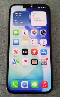 Apple iPhone 13 Pro Max 1TB Alpine Green Unlocked 88% Battery A2484