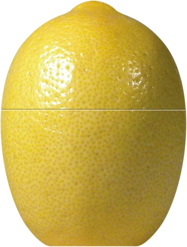 Contenitori Conservazione Limone in Frigorifero EXCELSA Barattolo Porta Salva
