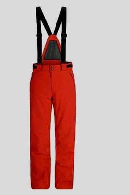 Spyder Boundary Gore-Tex Herren Skihose Snowboard Schneehose Gr 3XL 64 66 NP299 