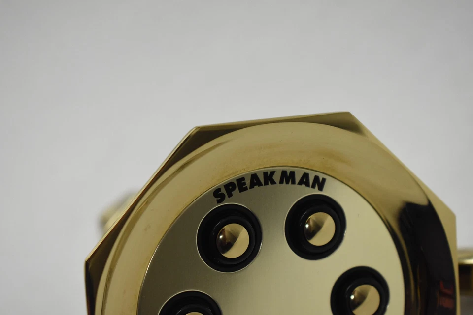 Cabezal de ducha fijo Speakman S-2255-PB Anystream 6 chorros latón pulido 2,5 GPM Foto 4 de 4