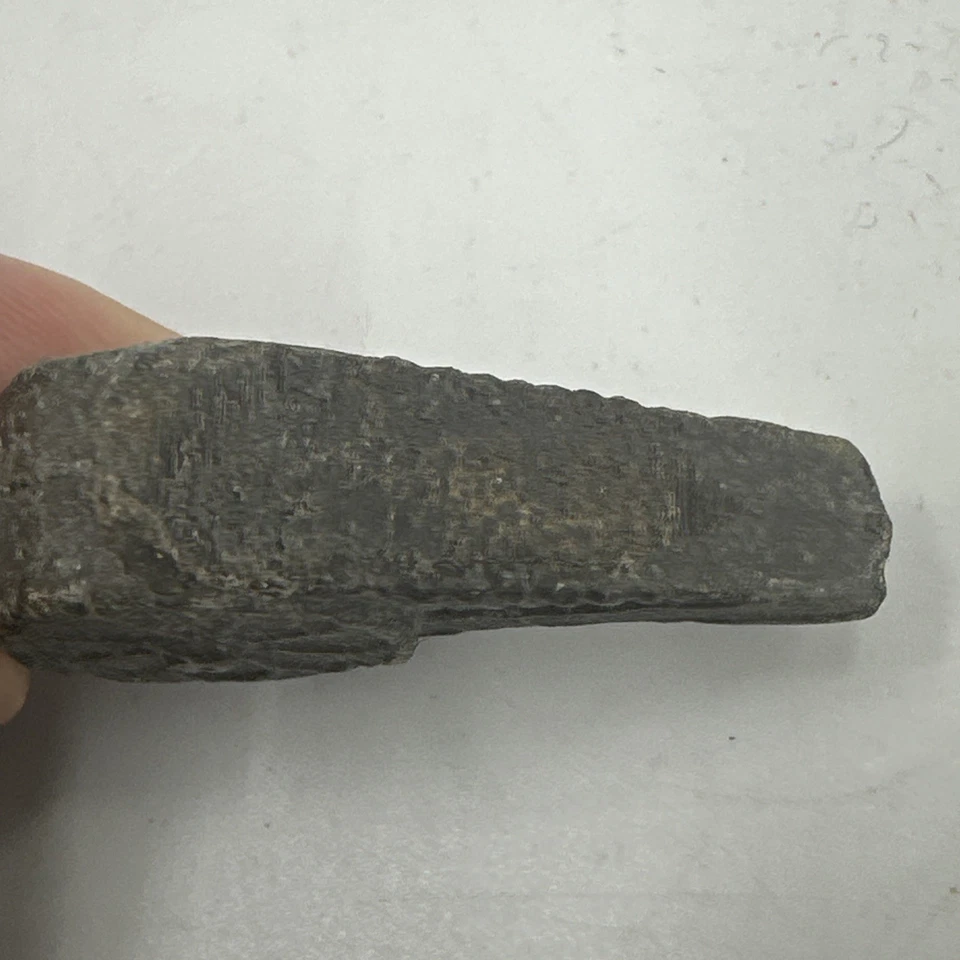 古董铸铅玩具野战炮兵件。 — 第 3/4 张图片