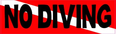 10in x 3in Diver Down Flag No Diving Sticker Car Truck Vehicle Bumper Decal