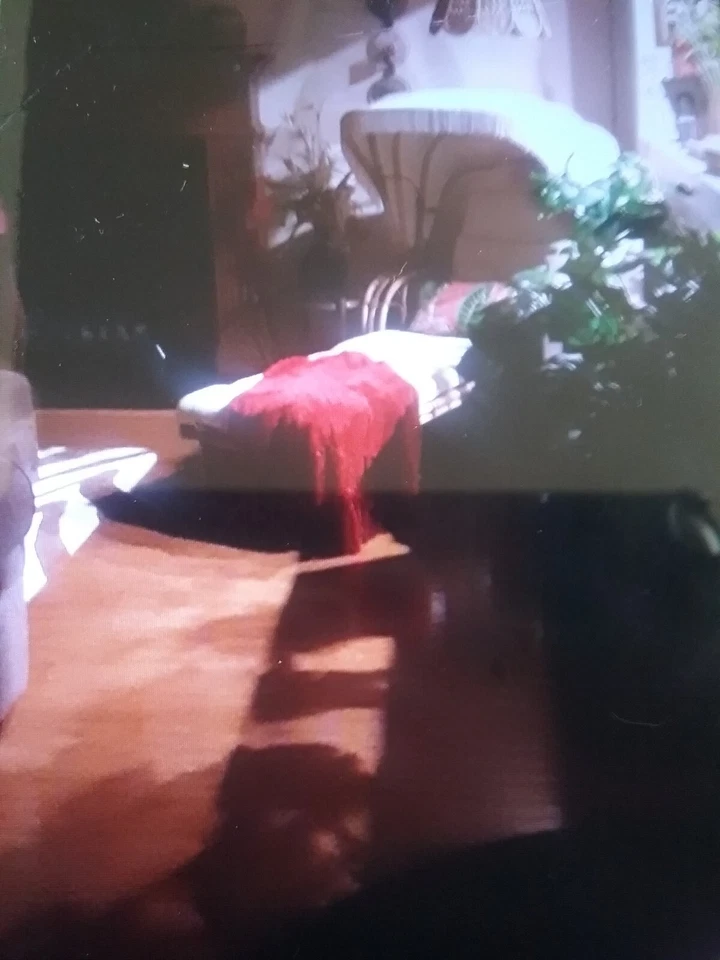 Chaise lounge antiguo raro de ratán con dosel de flecos Foto 4 de 4