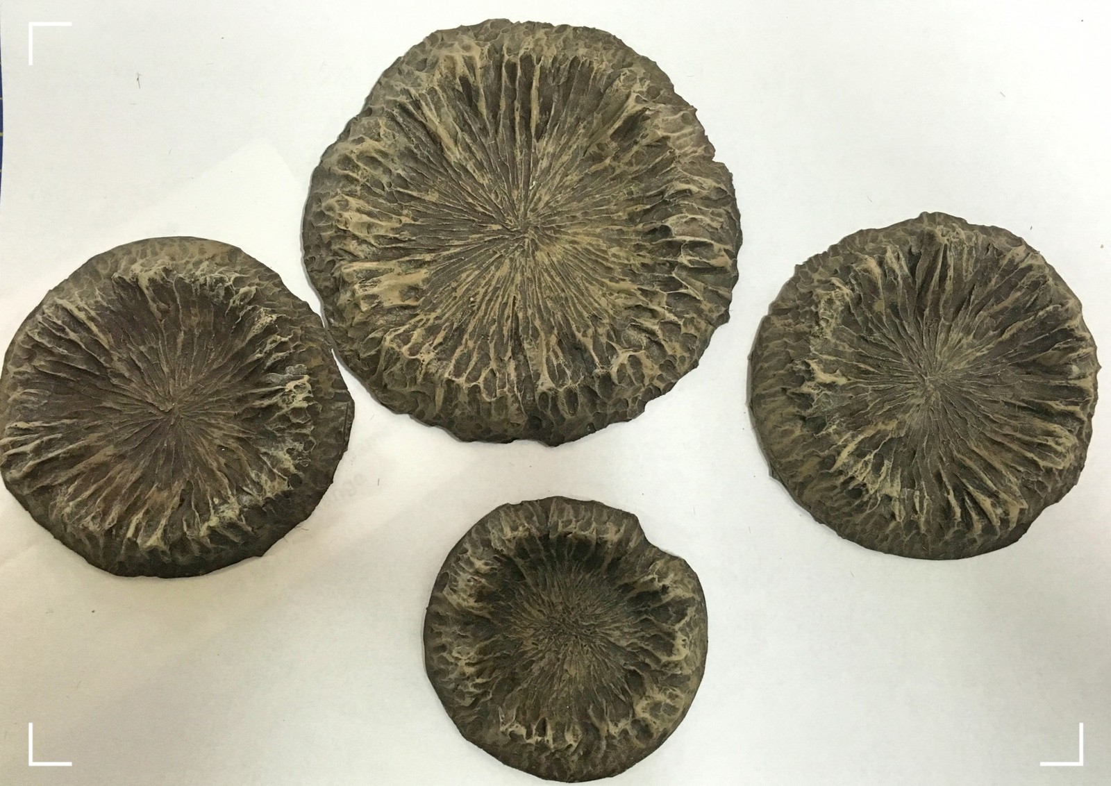 Artillery Bomb Craters x 4 20-28mm Wargames Action Terrain