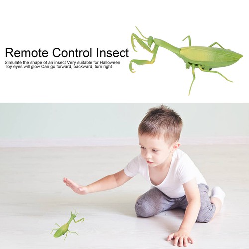 Remote Control Insects RC Animals Children Adults Trick Toys Electric Animals - Picture 12 of 12