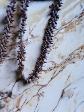 Vintage Hawaiian Koa Seed 50  Single Strand Necklace Boho Lei