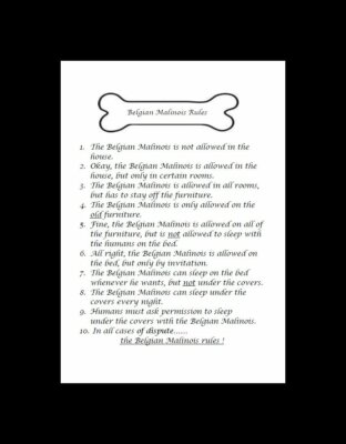 * Belgian Malinois ''Rules'' - CUSTOM MATTED - Dog Art Print : GIFT 