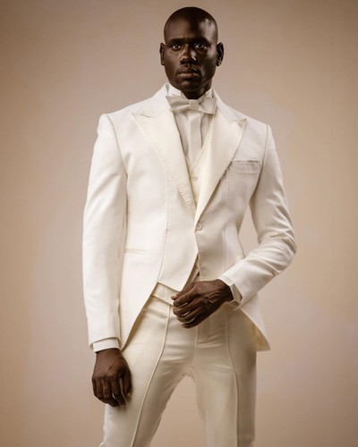 Men's Handsome White Groom Suits 3 Pieces Slim Fit for Wedding Business Formal - Picture 4 of 15